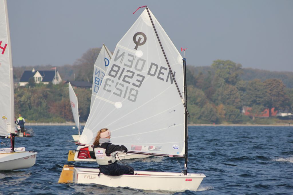 Vis 20101009 114647.jpg i fuld st�rrelse